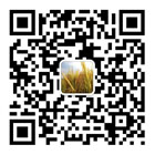 微分銷 微信營銷微分銷