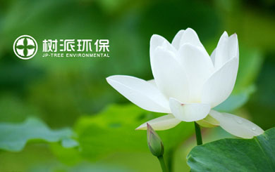 瀘州樹派環(huán)?？萍加邢薰?/></p>
                    <p class=